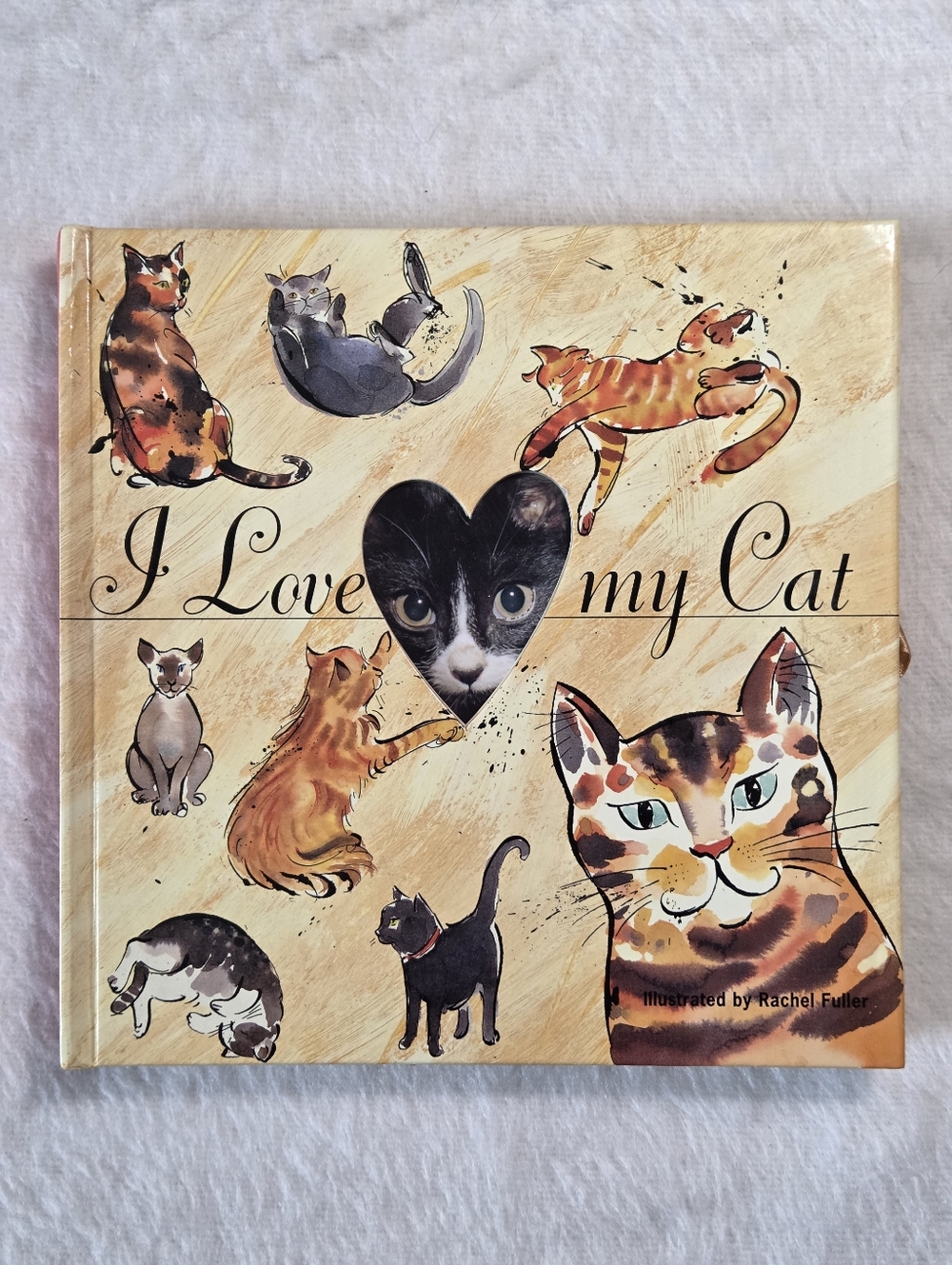I Love My Cat by Patricia P. Bartlett (Board Book - Add Your Own Photos)